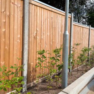 Lægtehegn Trykimprægneret - træfag