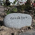 Pyntesten (Gro Så For F…..) 25 cm