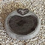 Rund fuglebad med turtelduer Ø25 cm Grå