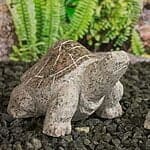 Lille Skildpade Rosa med poleret skjold 25 cm