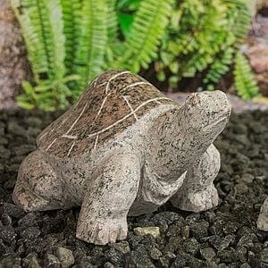 Lille Skildpade Rosa med poleret skjold 25 cm