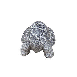 Lille Skildpade Grå med poleret skjold 15 cm