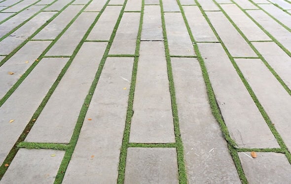 hvordan fjerner man mos fra fliser relateret