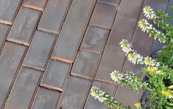 hvordan laves belaegningstegl