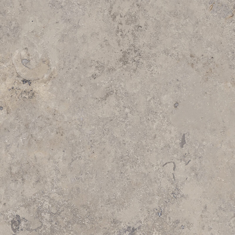 modenese-grey-taet modenese grey taet