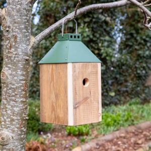 Olivengrøn Mini 'Birdy Sleep' Fuglehus (genb. træ)