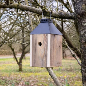 Sort Mini 'Birdy Sleep' Fuglehus (genb. træ)