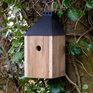 Sort Mini 'Birdy Sleep Wall' Fuglehus (genb. træ)