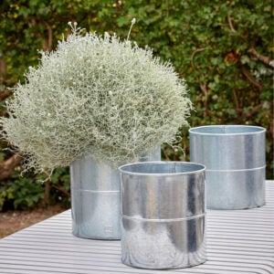 Galv. Blomsterspand (sæt m. 3 stk. / 3 str.)
